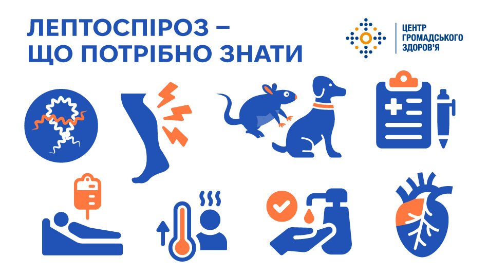 Leptospiroz sITE 0