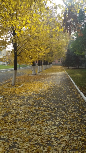 Наше селище.1